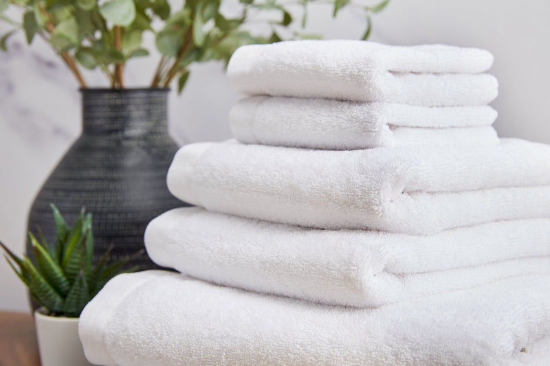 Terry Towel Set of 6
